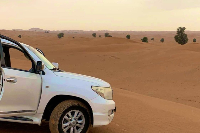 Muscat: Wadi Bani Khalid & Sunset at Wahiba Sands