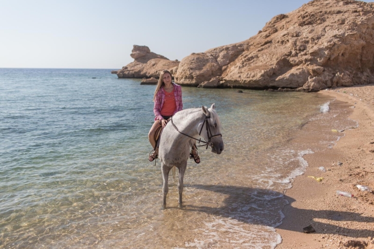 Hurghada: przejażdżka konna wzdłuż morza i pustyni z transferami