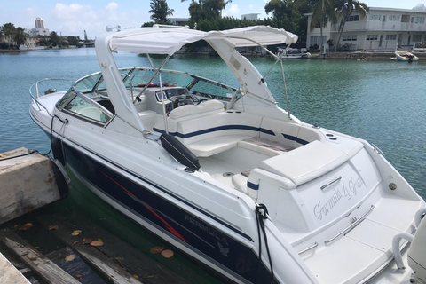 Miami: tour por la isla de los multimillonarios, el banco de arena y la isla de los mapaches.Miami: Isla de los multimillonarios, Sandbar y Raccoon Island Tour