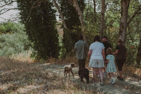 Tuscany: Volterra Truffle Hunting