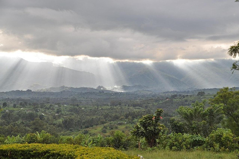 Kampala: 5-Day Murchison Falls, Semuliki & Fort Portal Tour
