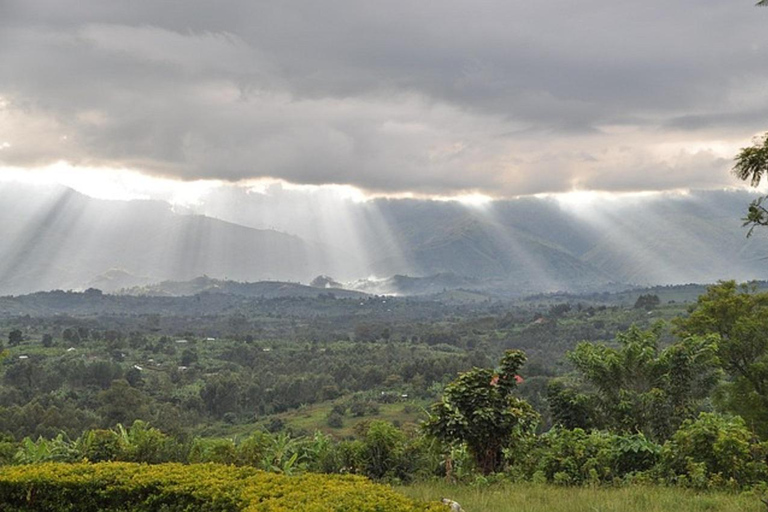 Kampala: 5-Day Murchison Falls, Semuliki & Fort Portal Tour