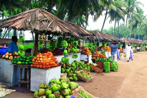 Salalah: City Tour with Polish Guide