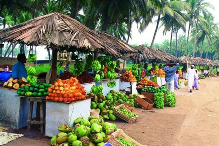Salalah: City Tour with Polish Guide