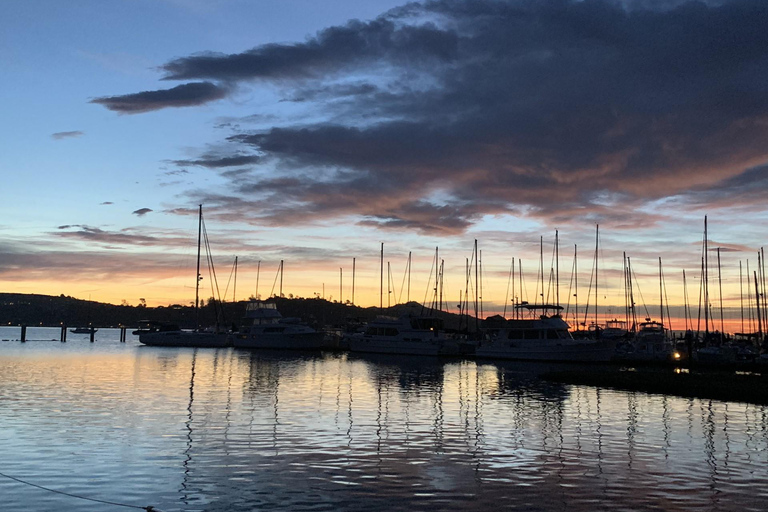 2 heures - Expérience de navigation SUNSET sur la baie de San Francisco
