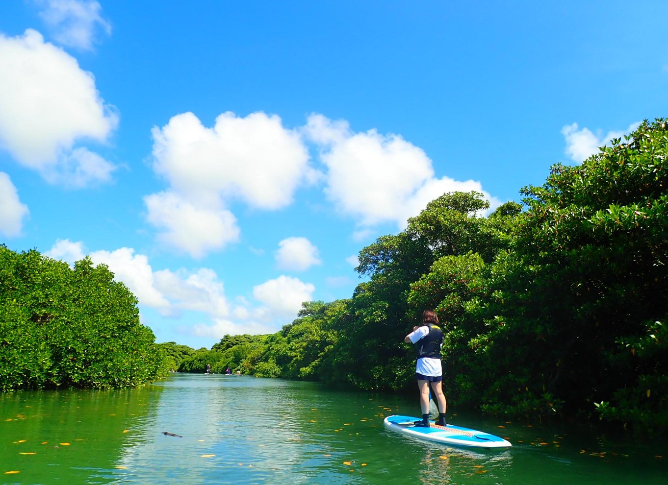 Ishigaki: Mangrove SUP eller kano & snorkling ved Phantom Island