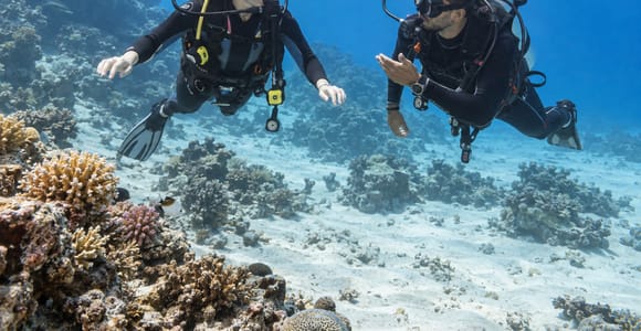 Marsa Alam: 3-Day SSI Open Water Diver Course with Pickup