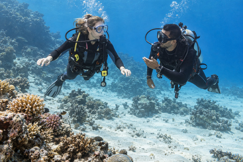 Marsa Alam: 3-Day SSI Open Water Diver Course with Pickup