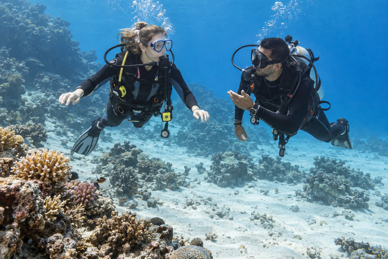 Marsa Alam: 3-Day SSI Open Water Diver Course with Pickup
