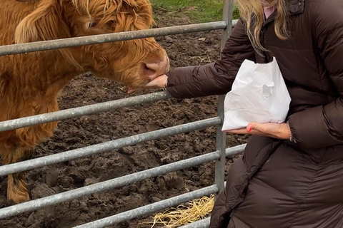 From Edinburgh: 2-Day Highlands Tour with Hogwarts Express 2 Guests Twin Room with 2 Single Beds and a Private Bathroom