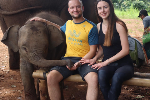 Chiang Mai : Sanctuaire des éléphants, chute d&#039;eau et raftingPrise en charge à l&#039;hôtel