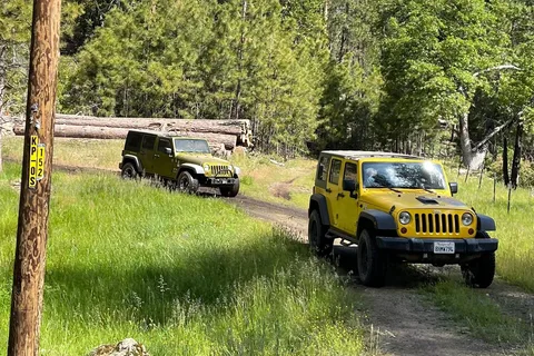 Cordoba: Guided Jeep Tour in Stanislaus National Forest