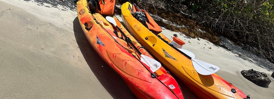 Excursion autonome kayak au Robert : îlet Chancel, iguanes et fonds blancs