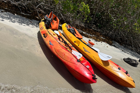 Kayak tour in Robert: Îlet Chancel, iguanas, and white seabeds Kayak tour at Robert: Chancel islet, iguanas, and white seabeds