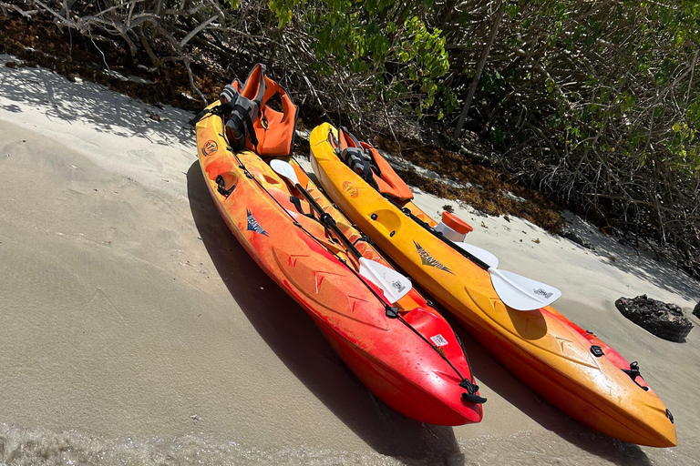 Le Robert Self-Guided Kayak Tour: Îlet Chancel, iguanas, and white sandbanks Kayak tour at Robert: Chancel islet, iguanas, and white seabeds