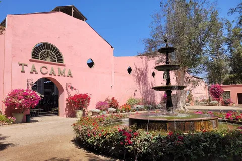 ICA: Ruta del Pisco y Vino con degustación en 03 Bodegas