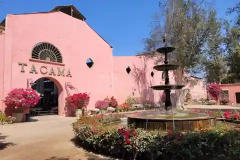 ICA: Ruta del Pisco y Vino con degustación en 03 Bodegas