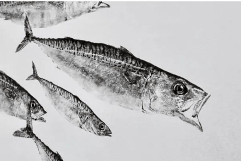 Kanazawa: Fishing Experience with Gyotaku and Cooking