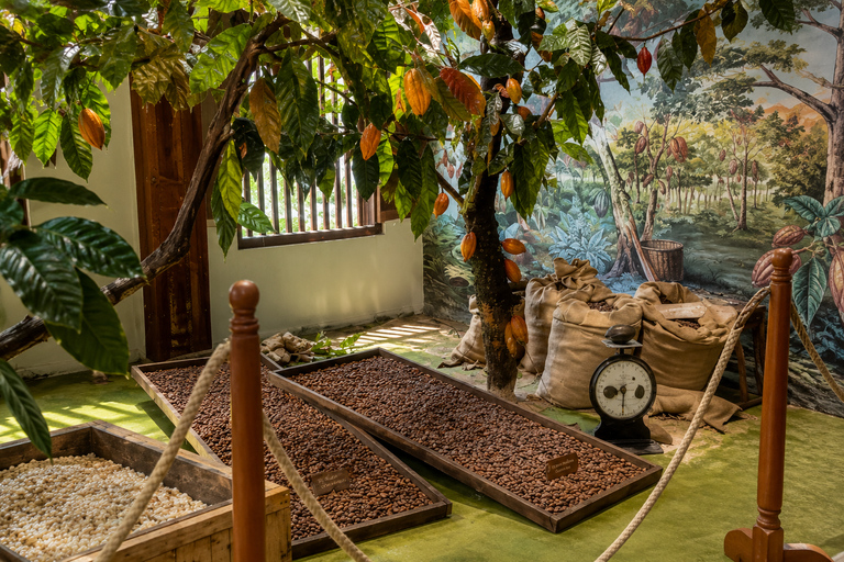 Yogyakarta: Coffee, Chocolate Making & Museum Tour