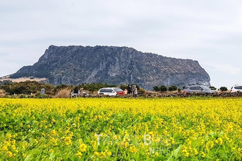 Jeju: UNESCO East Coast Small Group Tour with Hotel pickup