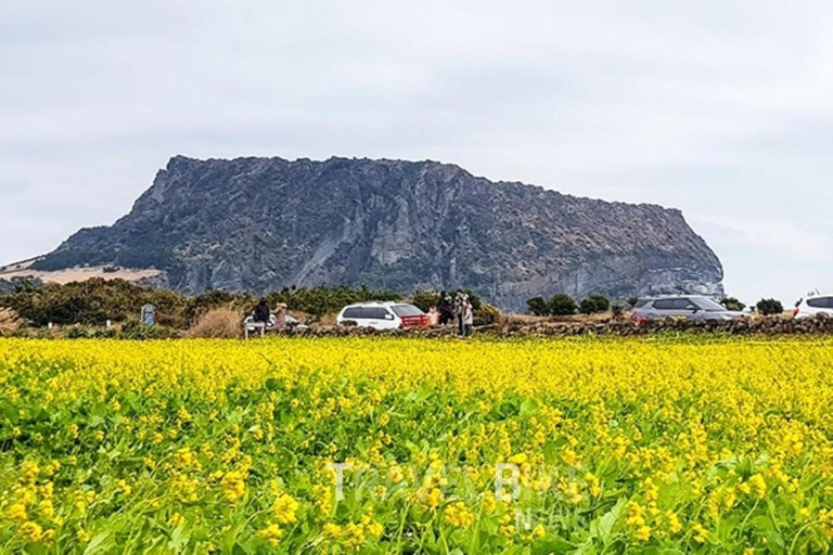 Jeju: UNESCO East Coast Small Group Tour with Hotel pickup