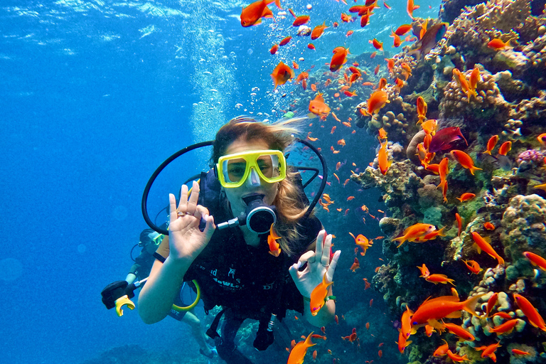 Sharm El Sheikh: Ras Mohamed & White Island Snorkeling trip