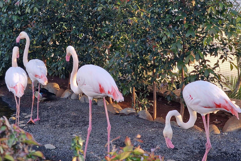 Bird Island sweet west tour