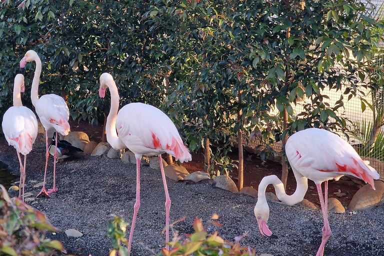 Bird Island sweet west tour