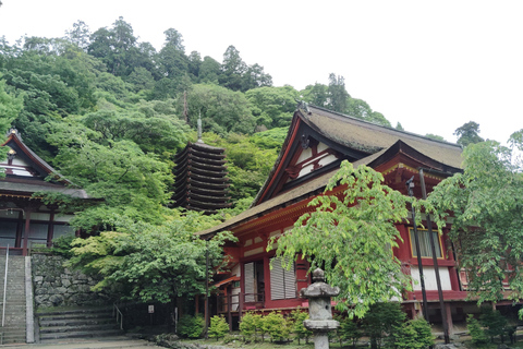 Nara: Explore Tanzan Shrine’s Pagoda and Sacred History