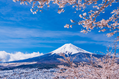 Tokyo: Mount Fuji, Gotemba Outlet, and Hakone Day Trip