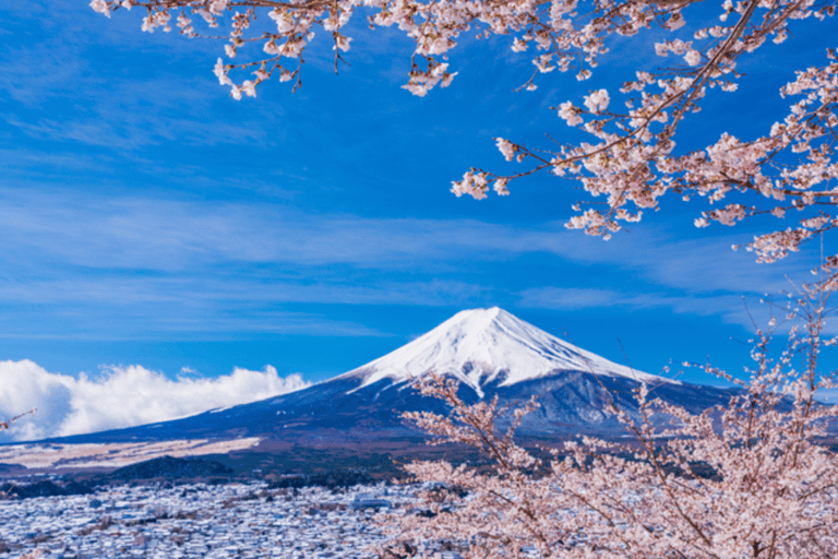 Tokyo: Mount Fuji, Gotemba Outlet, and Hakone Day Trip