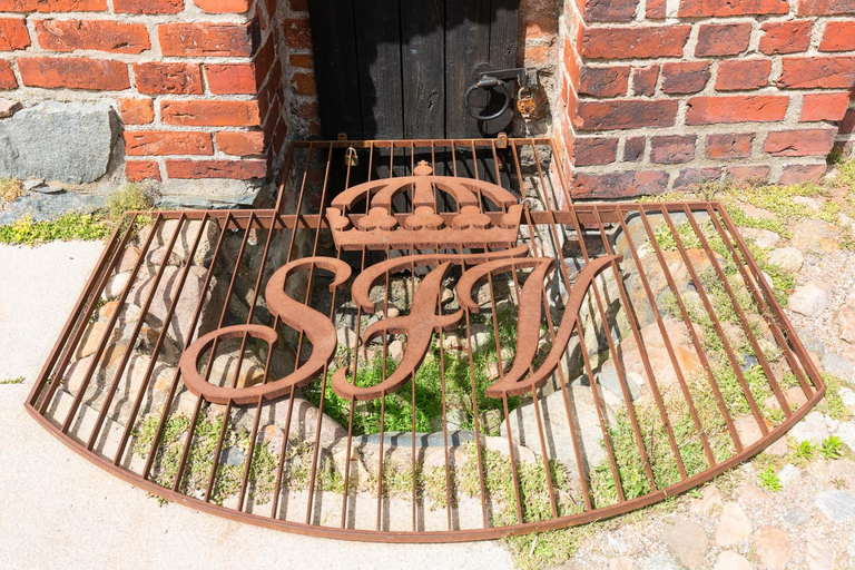 Copenhagen Day Trip to Malmo Old Town & Castle by Train/Car 6-hour: Malmo from Copenhagen by Private Car