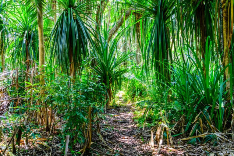 Tour a piedi nella foresta di Jozani