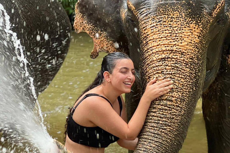 Khao Sok Safari with Elephant Bathing & Canoe KSS01