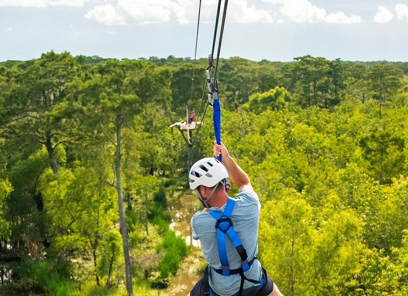 New Orleans: Swamp Zipline Tour