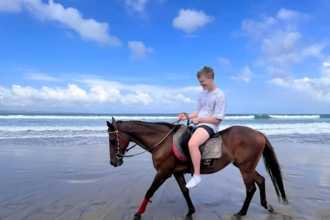 Bali: Paardrij tour op Seminyak strand inclusief vervoerBali: Paardrijden 1 uur Inclusief vervoer