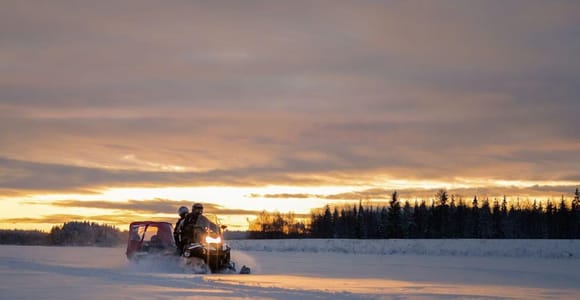 Rovaniemi: Small-Group Forest Snowmobile Ride with Snacks