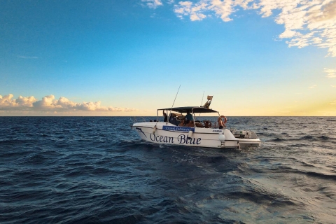 Private Charter Private Charter to see the whales - 2 Hours Private Charter - 2 Hours