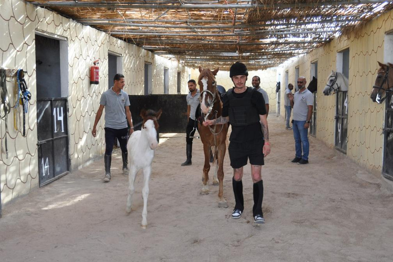 Hurghada: Camel Ride & horse ride and Off-Road Jeep Tour pickup from hotels inside hurghada