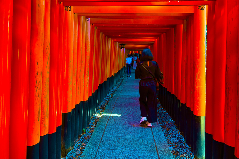 Visite privée de Kyoto. Les trésors intemporels de Kyoto