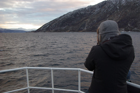 Safari en mer à Tromsø