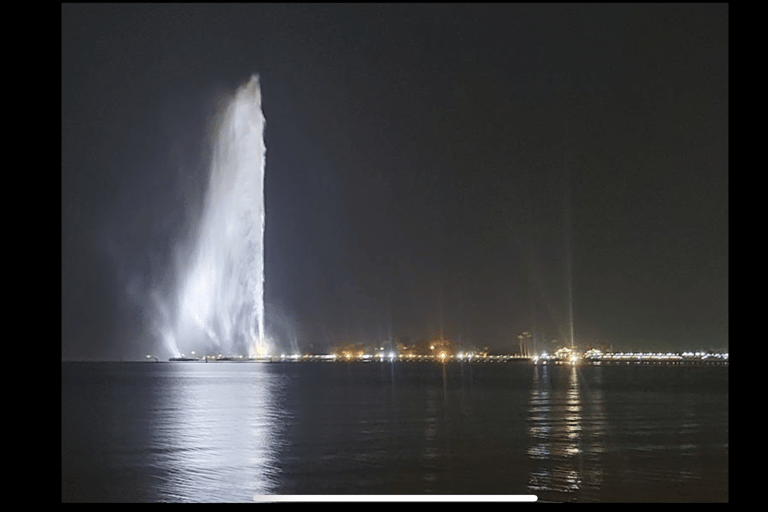 Jeddah: City Highlights Tour with Local Guide private tour