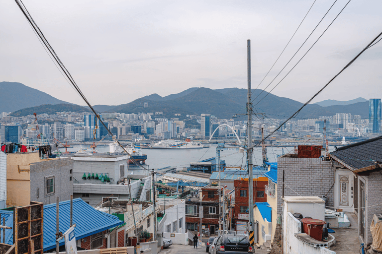 Busan: City Tour of 3 Historic Neighborhoods by Public Bus
