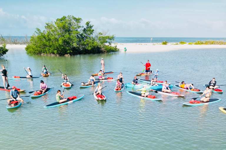 Tour d'avventura con delfini, lamantini e tartarughe marine a Bonita Springs!