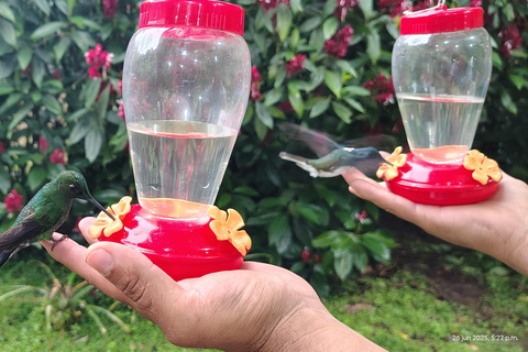 Excursion d&#039;une journée complète à Mindo, tout compris, avec transport depuis Quito.Excursion d&#039;une journée complète à Mindo, tout compris, avec transport depuis Quito