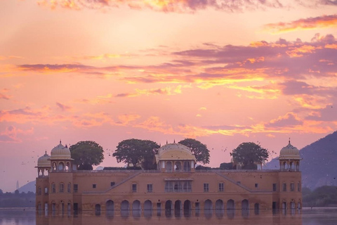 From Delhi: 5-Day Golden Triangle & Tiger Safari Journey Transportation and guide service only