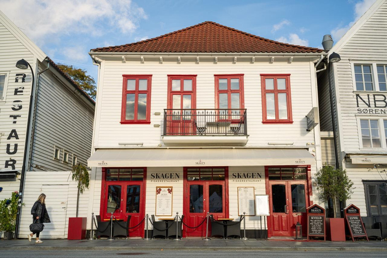 Private Stavanger city Highlights Driving tour