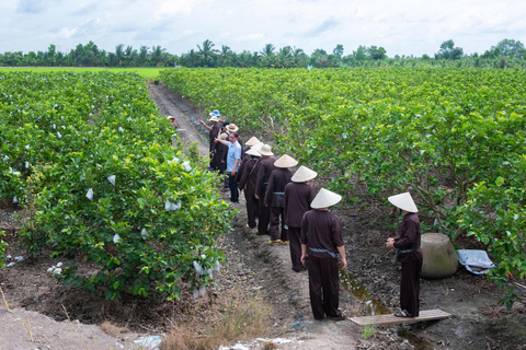 From HCMC-Mekong Delta Eco Tour: Non-Touristy & Small Group Pickup & Drop-off in District 1