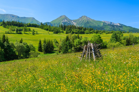 Slovakia: 3-Day Bratislava, Castles, Tatras Tour
