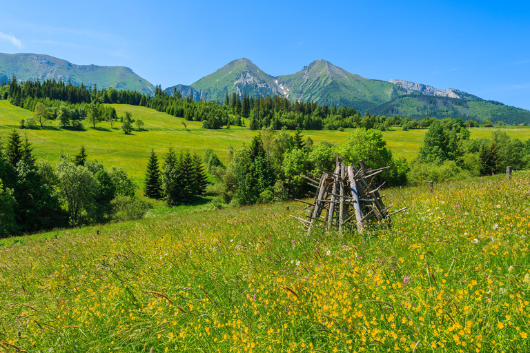 Slovakia: 3-Day Bratislava, Castles, Tatras Tour